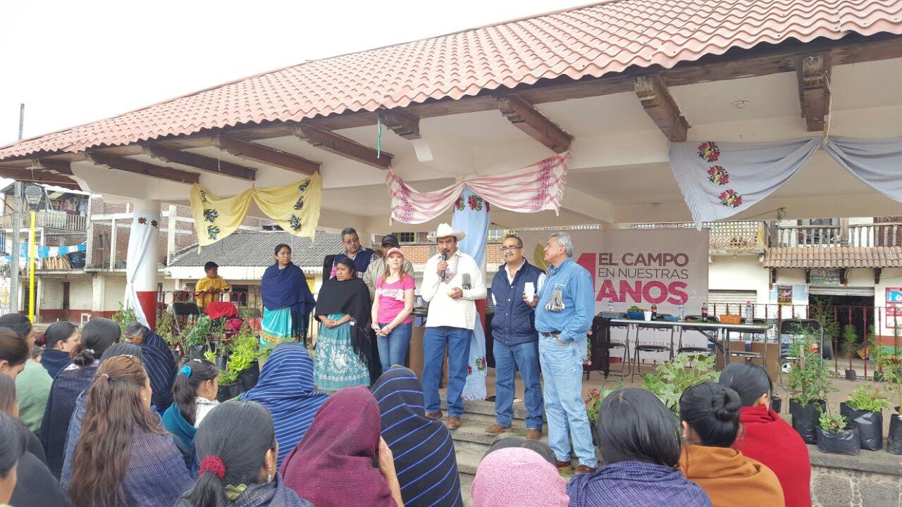 Entrega Sagarpa paquetes de huertos medicinales en Uruapan - Quadratín Michoacán
