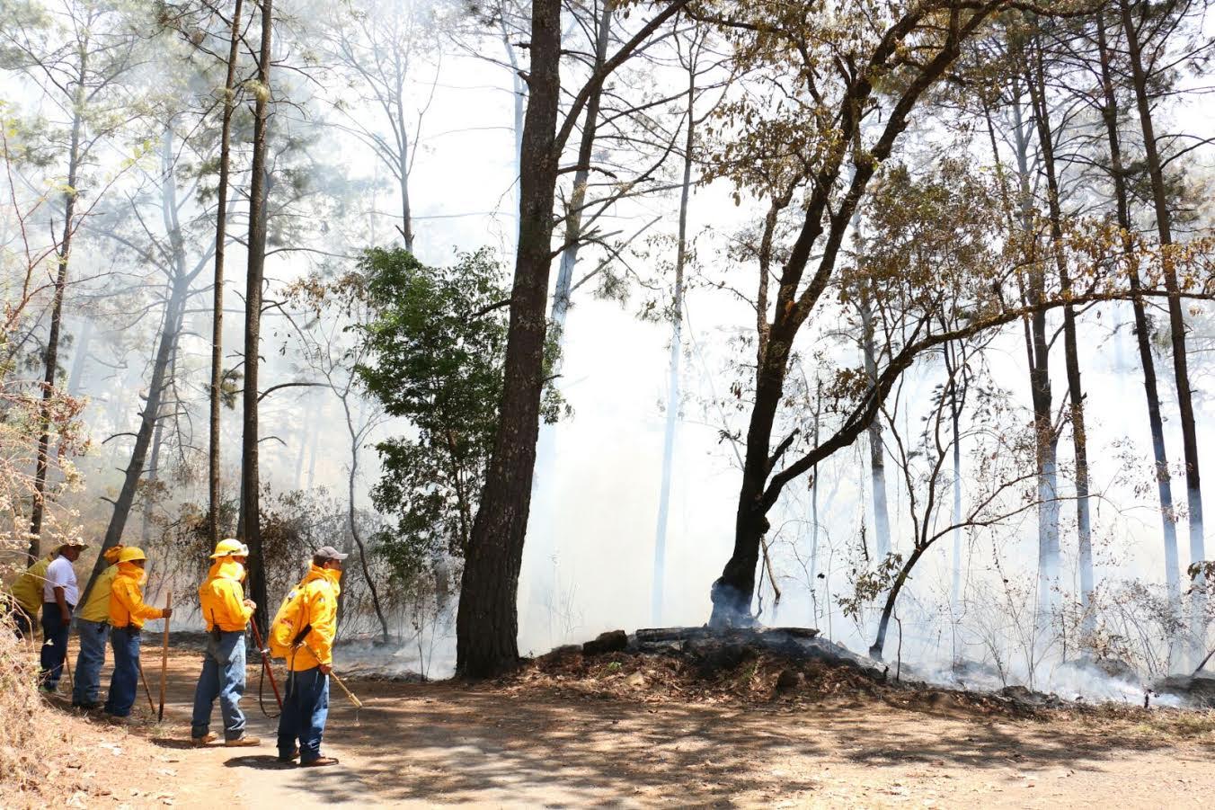 Controlado, incendio en Parque Nacional de Uruapan - Quadratín Michoacán
