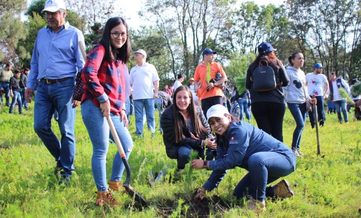 Trabajan jóvenes por el cuidado del medio ambiente