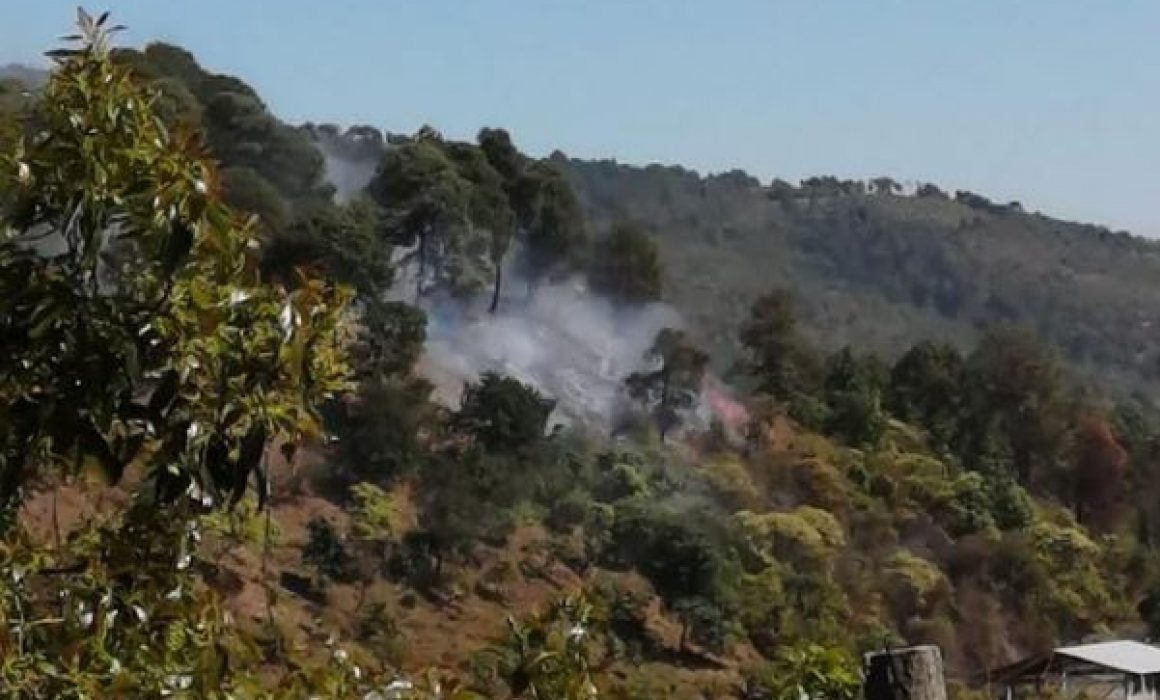 Logran controlar incendio en el Cerro de la Cruz de Uruapan - Quadratín ...