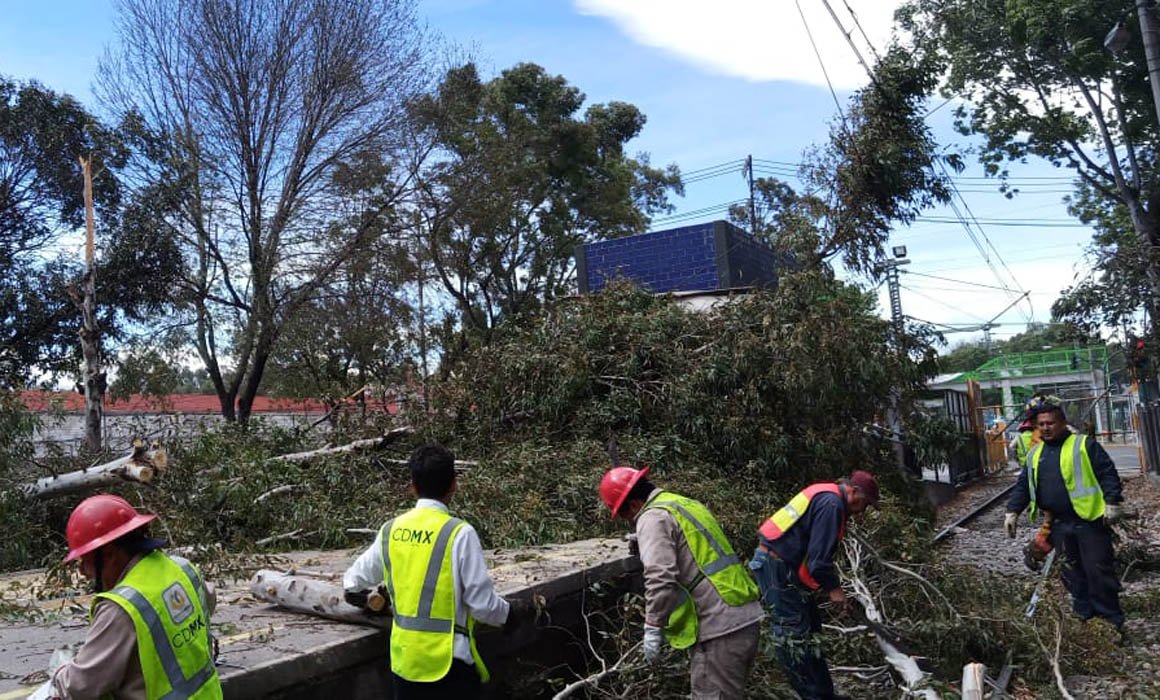 Fuertes vientos activan alerta amarilla en 12 alcaldías de CDMX ...
