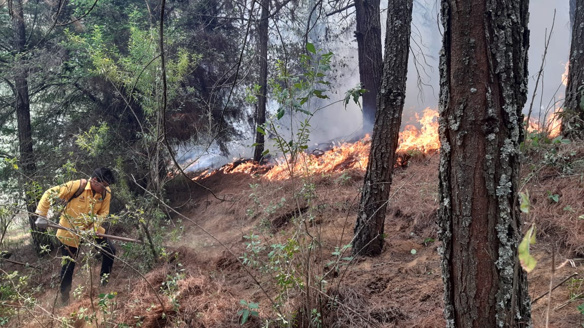 PC Michoacán reporta 13 incendios forestales activos en 5 municipios