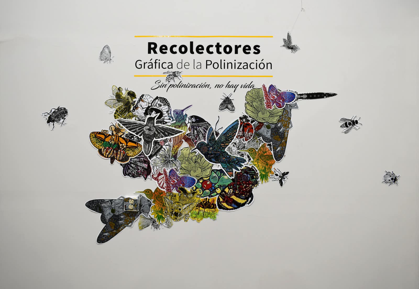 Art, migration and pollinators meet at the Collectors Gallery