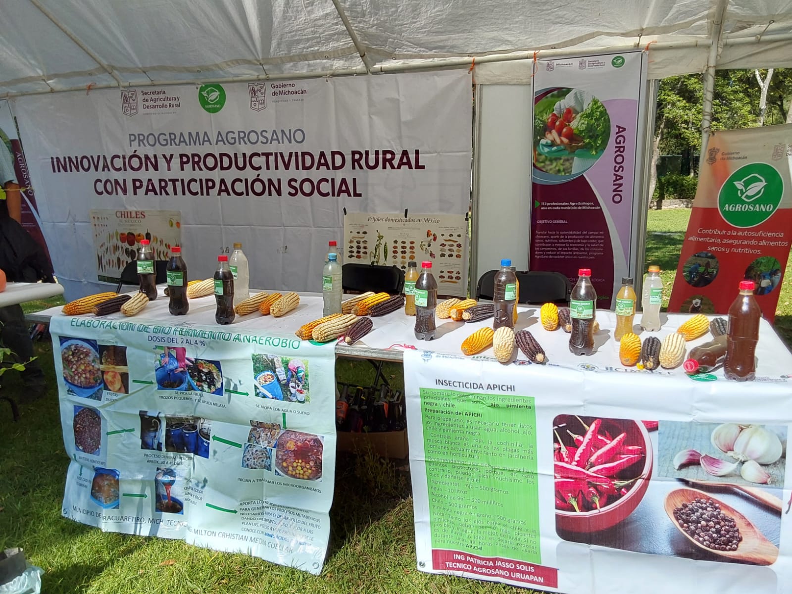 Con Agrosano, Sader contribuye a la restauración y salud de los suelos ...