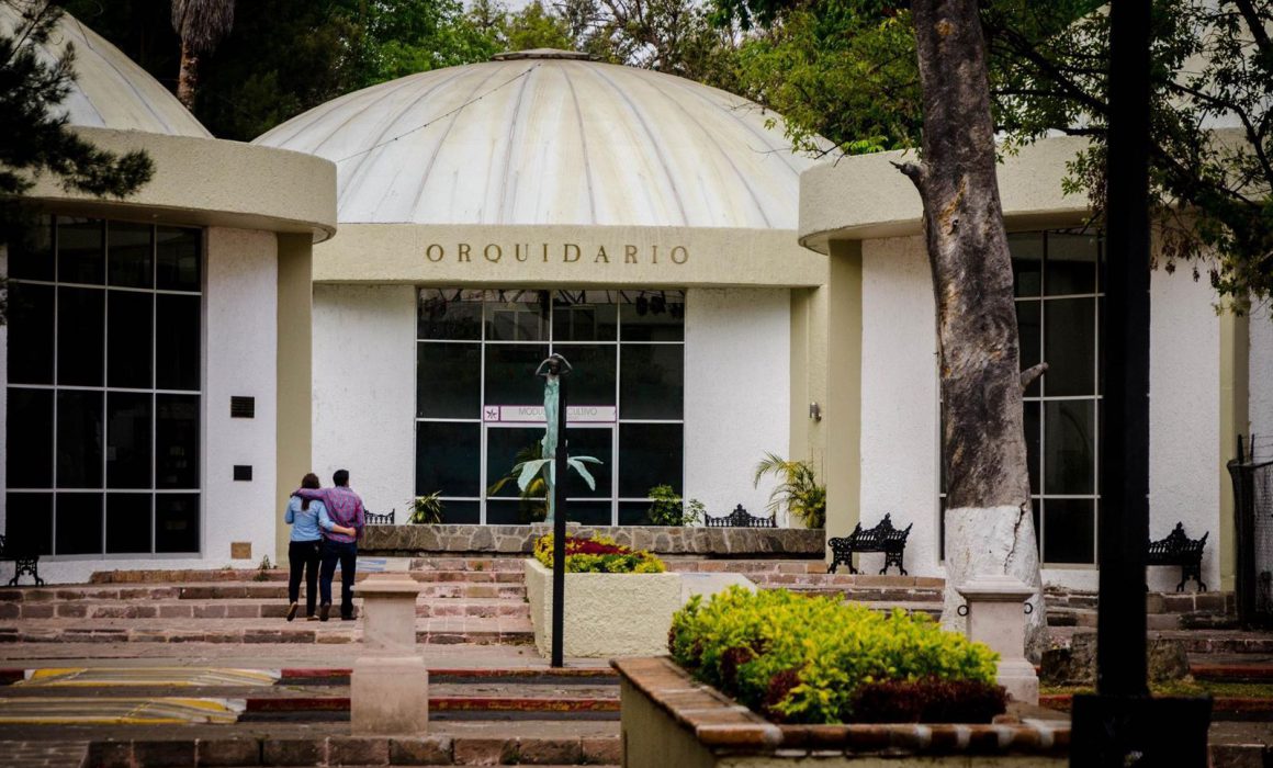orquidiario, morelia