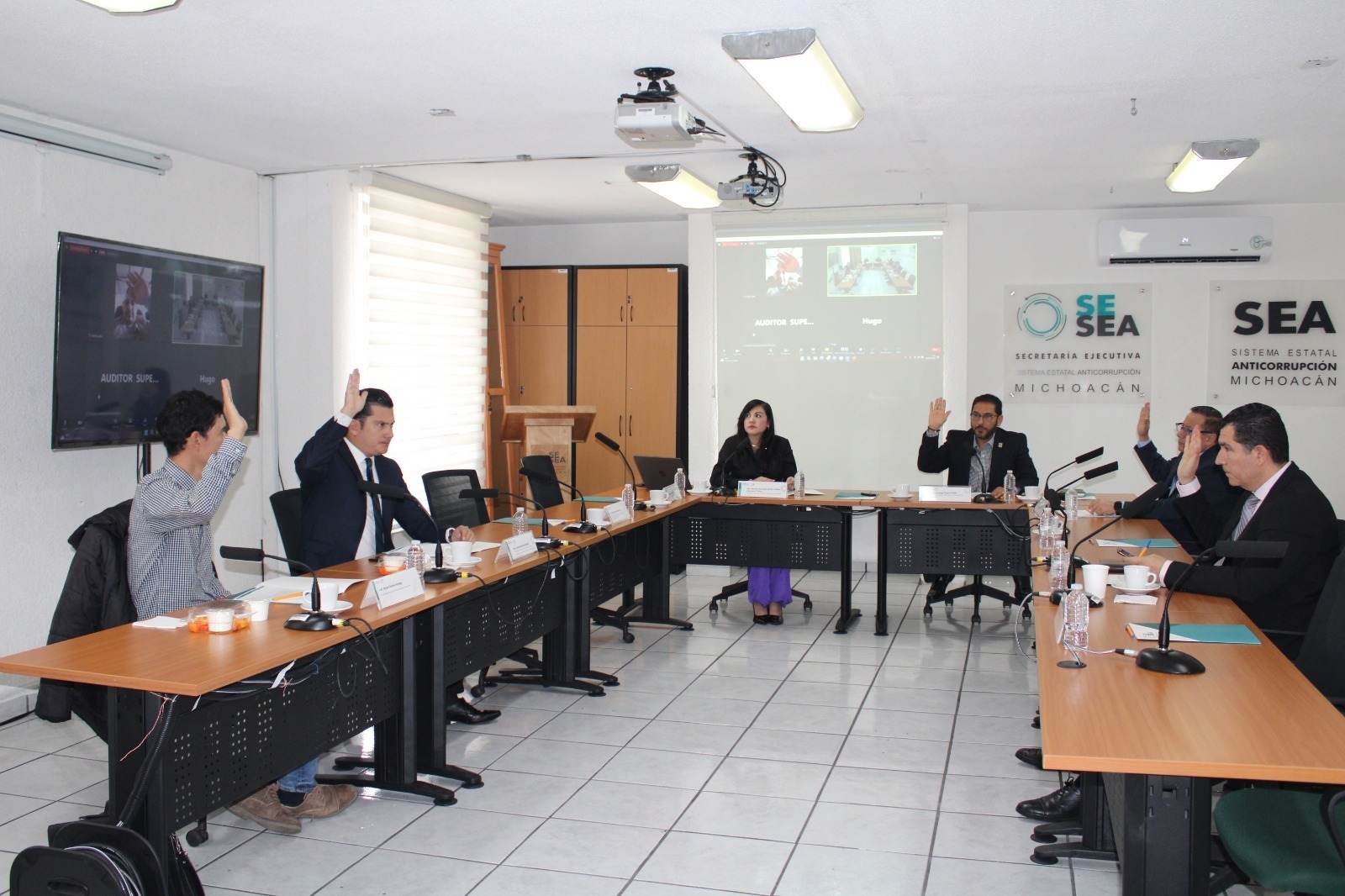 Aprueba comit coordinador del sea plan de trabajo 2024 quadrat n