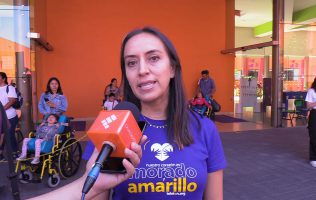 CRIT Michoacán,