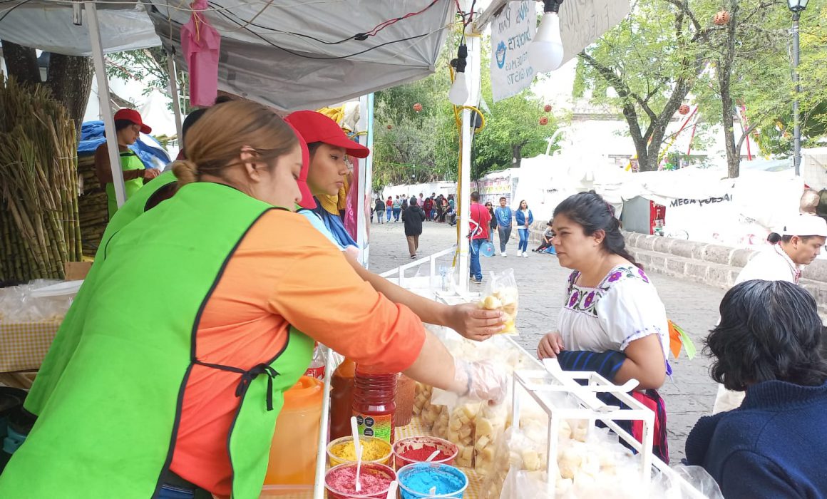 comercio fiestas guadalupanas,