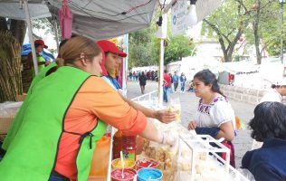 comercio fiestas guadalupanas,