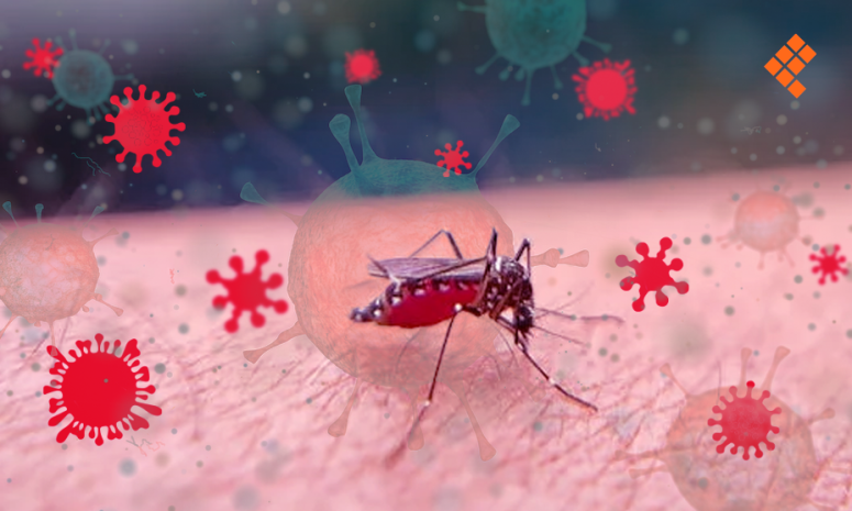 Michoacán, quinto lugar nacional con 238 casos de dengue en este 2025