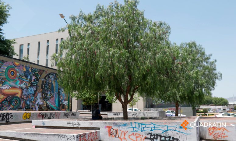 Morelia: en olvido, plaza donde está árbol que bendijo el Papa Francisco