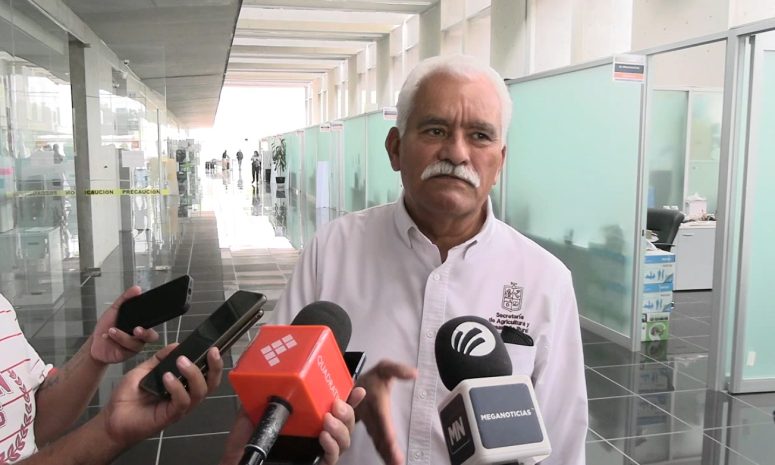 Alerta Sader sobre el brote del gusano barrenador en México