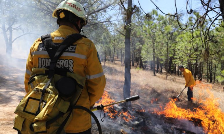Atendieron brigadas forestales 16 incendios en Michoacán; hay 5 activos