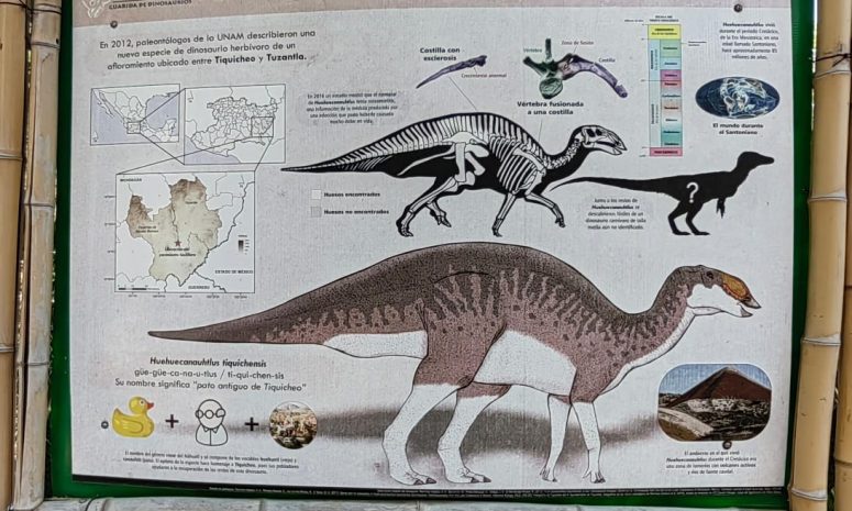 ¿Sabes que en Michoacán descubrieron un dinosaurio pico de pato?