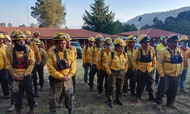 Brigadas forestales apagan 4 incendios en Michoacán: Cofom