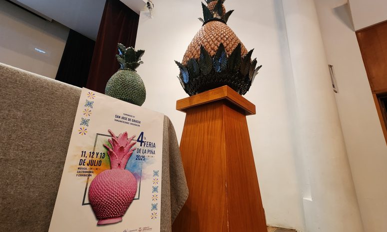Luchan artesanos de piñas de San José de Gracia por mantener su legado