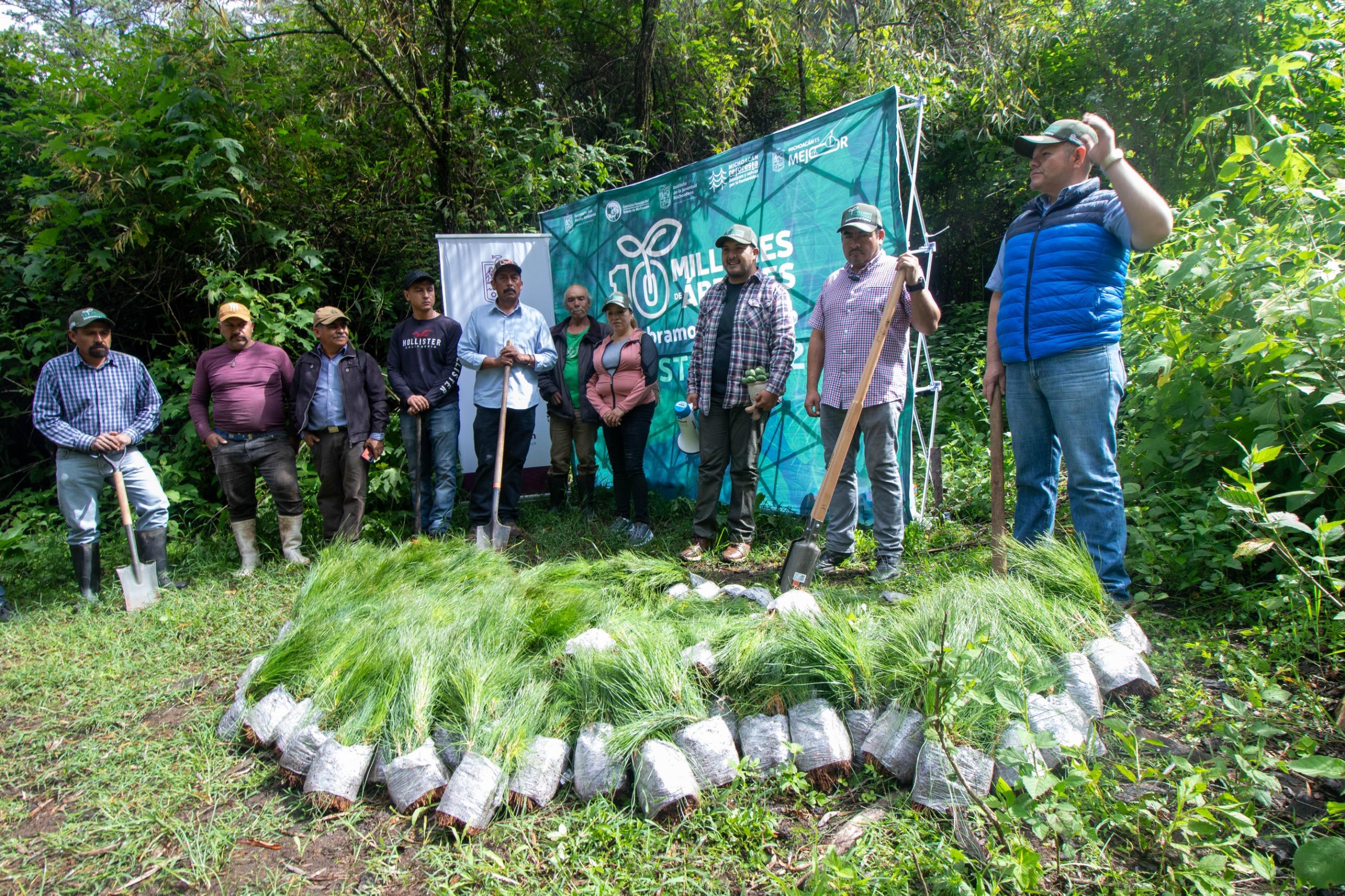 Más que nunca, la juventud está comprometida con los bosques: Ijumich ...