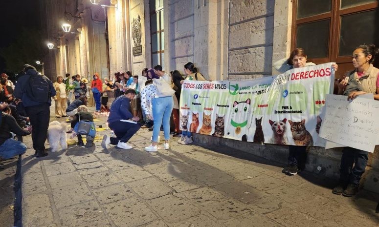 Fumigarán Facultad de Derecho; temen exterminio de fauna como en 2024