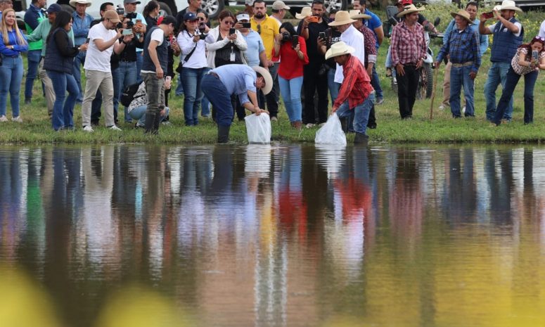 Concentra Compesca solicitudes de alevines por producción anual