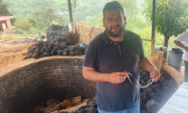 IEPS: la brecha fiscal que ahoga al mezcal artesanal michoacano