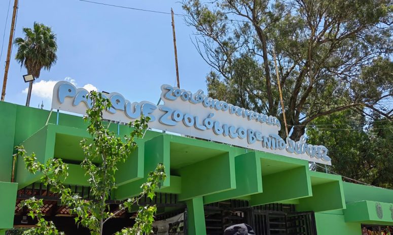 Para 2027 Zoo Morelia proyecta contar con nueva área de pingüinario
