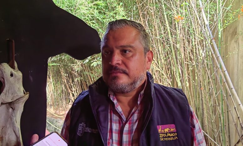 Zoo Morelia, sin espacio para quedarse con animales rescatados: director