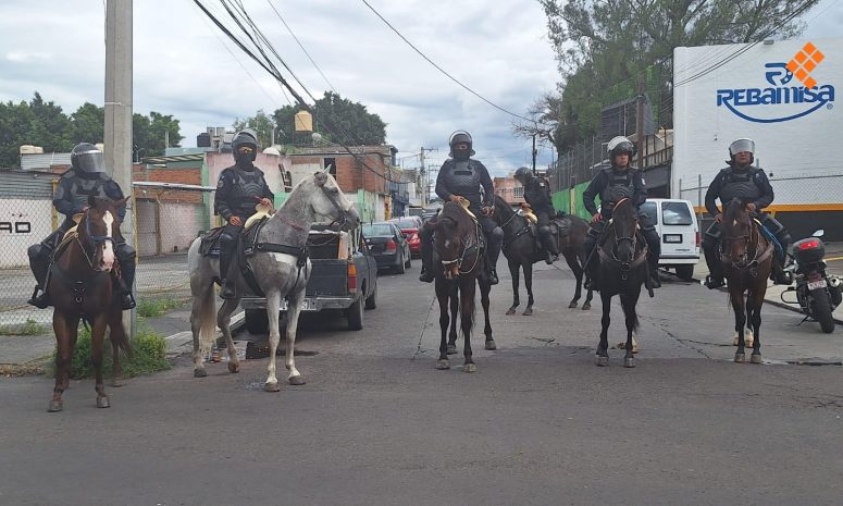 Llega caballería de Guardia Civil a La Huerta por marcha del FNLS