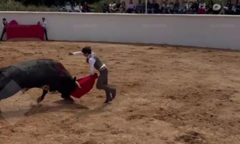 Captan en video presunta corrida de toros en Lagunillas