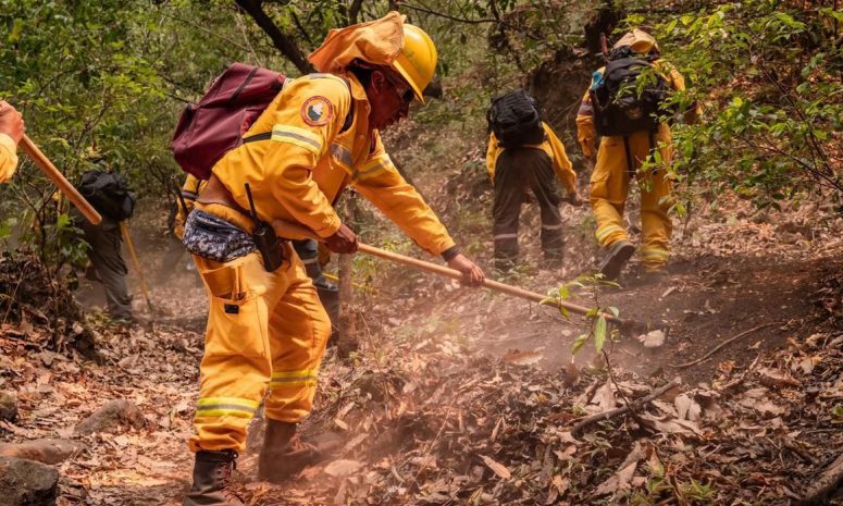 Van más de 5 mil 462 incendios en lo que va del año en México
