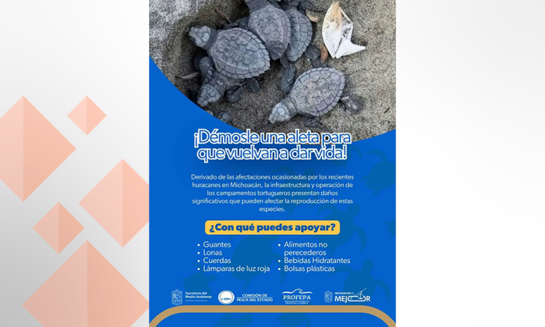 Activo, acopio para apoyar campamentos tortugueros afectados en LC